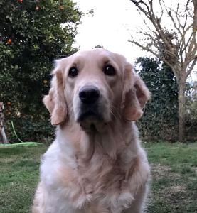 img-20171204-wa0015