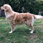 img-20171204-wa0018